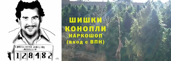 шишки Ростов