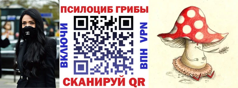 Галлюциногенные грибы Psilocybe  площадка состав  Стародуб  блэк спрут зеркало 